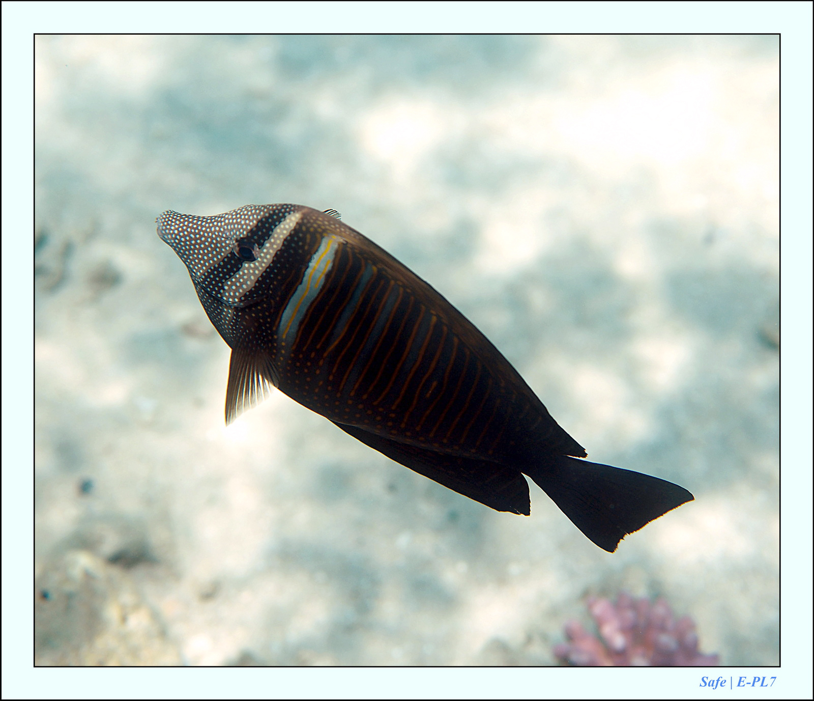 Hurghada - Juillet 2021 - 107